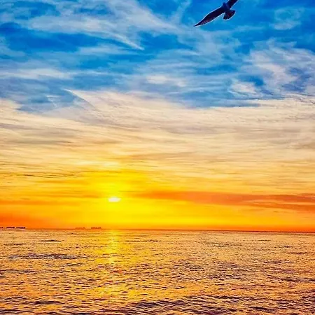 Sunwaves Mamaia